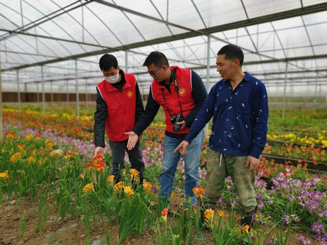 花卉设施栽培科技示范基地",科技人员就企业示范种植我院作物所选育的
