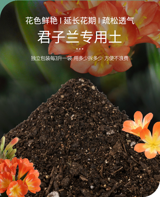 君子兰专用土营养土养花卉盆栽通用型土壤家用花盆有机花土种植土